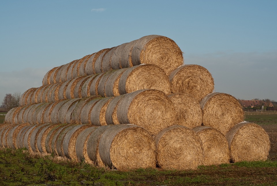 Big Data Policing Pieces Of Needles Across Many Haystacks Crime 